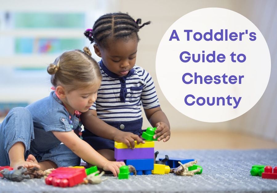 Toddlers Guide to Chester County