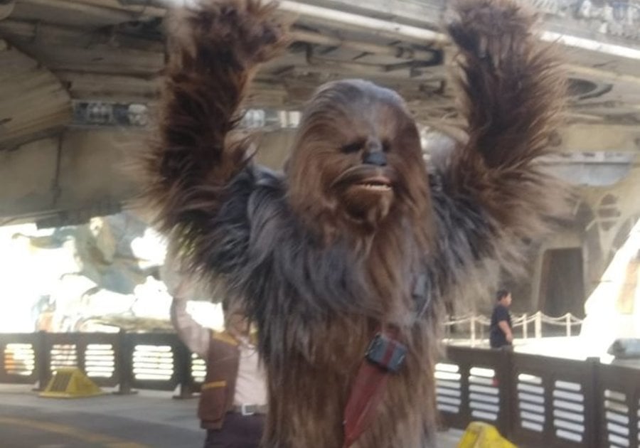 Star Wars Galaxy's Edge Family Travel