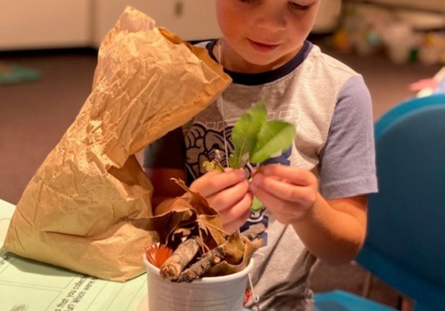 A child examining a leaf