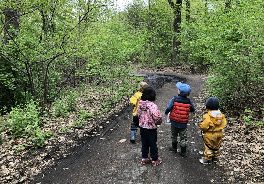 Brooklyn Nature Days