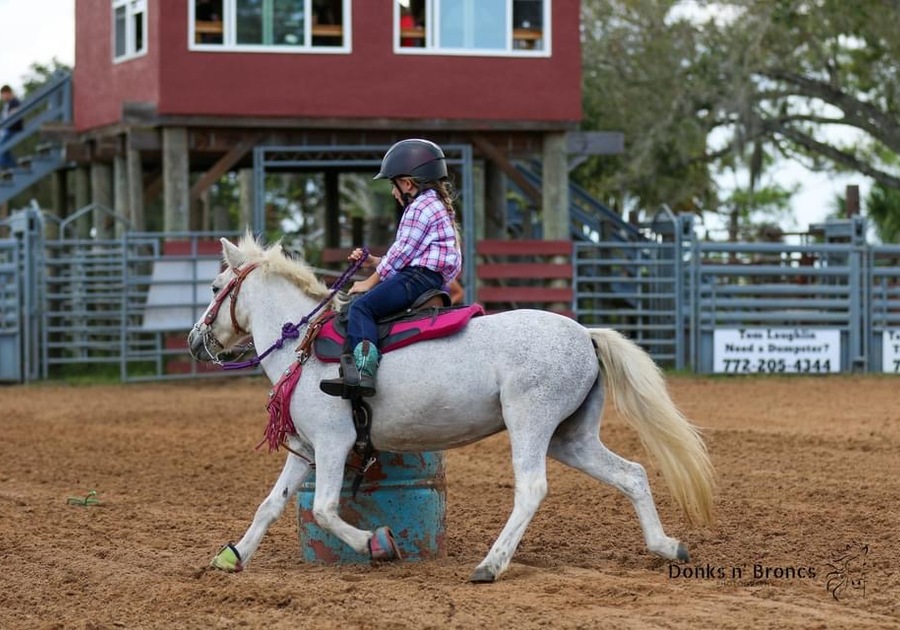 Whispering Pines Equestrian