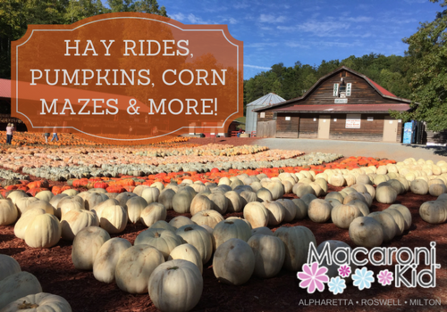 Corn Mazes, Pumpkin Patches, Apple Picking, Hay Rides near ...