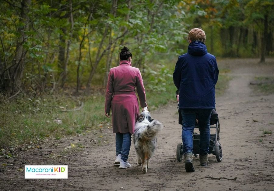 Woman in a pink coat walking a dog alongside a man in a blue coat pushing a stroller.  View from behind.  Dirt path.