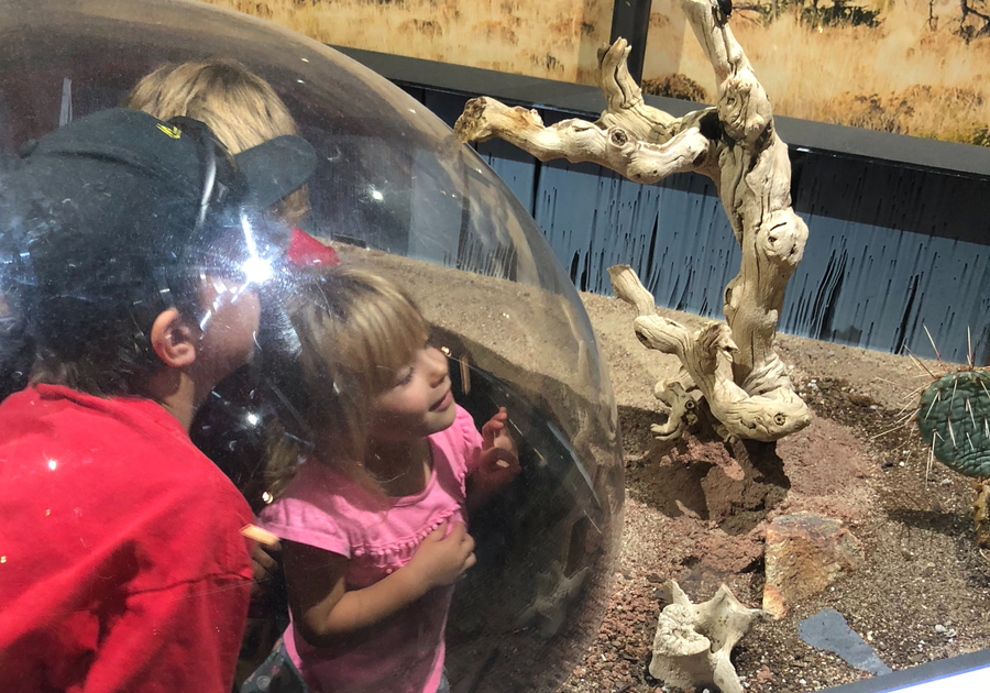 Exploring Butterfly Pavilion