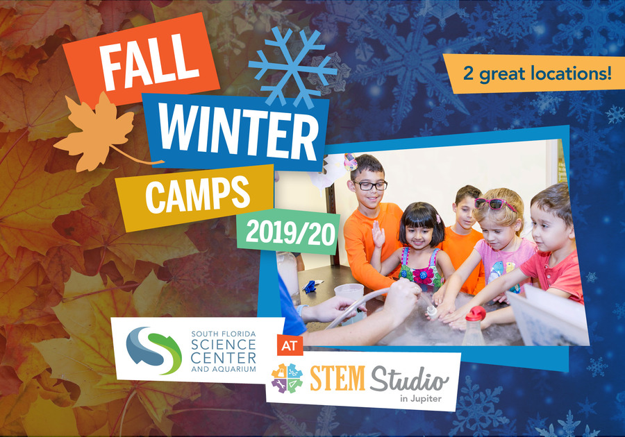 STEM Studio and SF Science Center Fall and Winter Camps