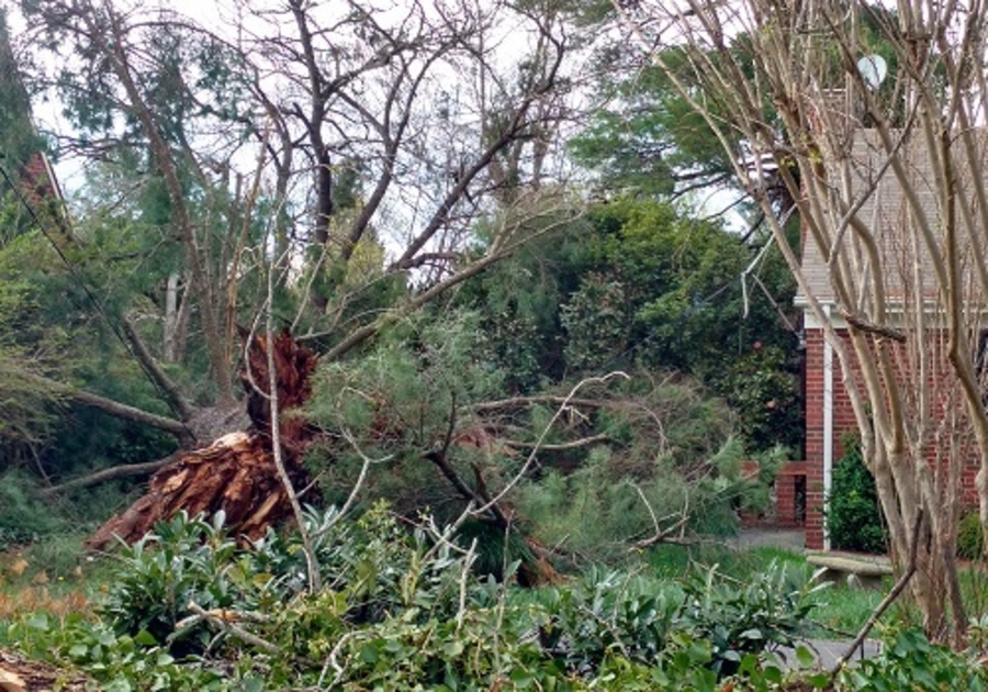 Tornado Aftermath in Lynchburg VA and Surrounding Area | Macaroni Kid ...