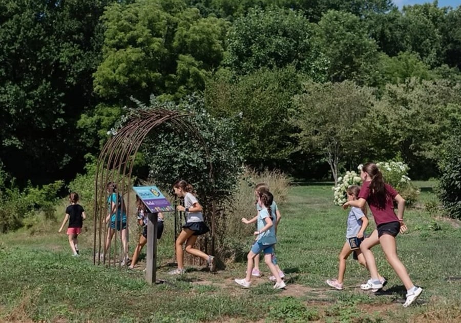 Camp Wonderkin children exploring in nature