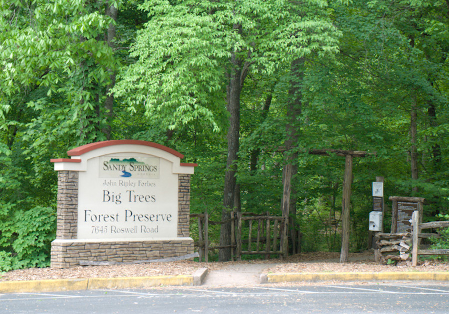 Big Trees Forrest Preserve