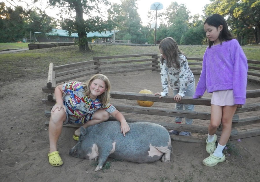 three girls with a pig