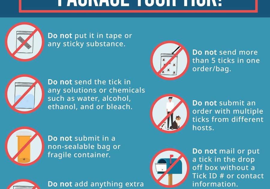 A guide on improper tick packaging for testing. Includes warnings against using tape, liquids, non-sealable bags, multiple hosts, or omitting contact details.