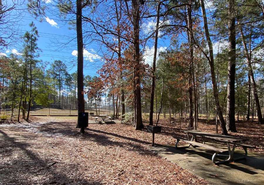 Piney Wood Park picnic tables and dog park 