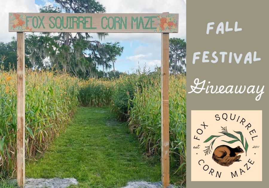 Fox Squirrel Corn Maze