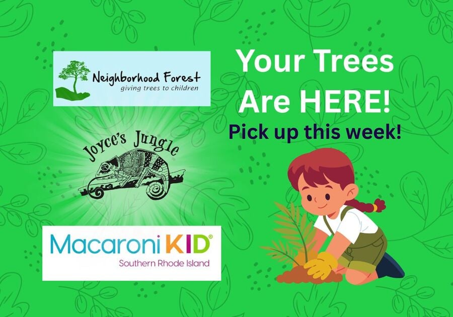 pick up your trees!