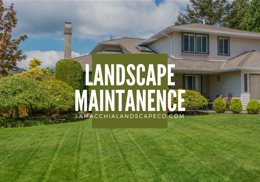 Lamacchia Landscape Construction design, install, maintain, hardscaping, masonry, landscape maintenance, drainage systems, driveways