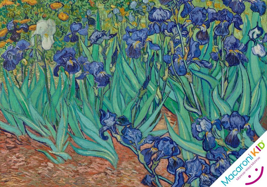 The Irises by Vincent Van Gogh