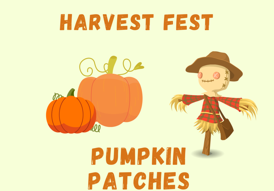 Pumpkin Patches