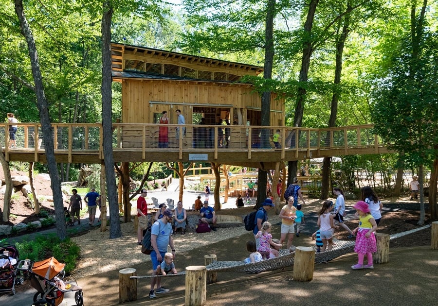 People outside a treehouse play area