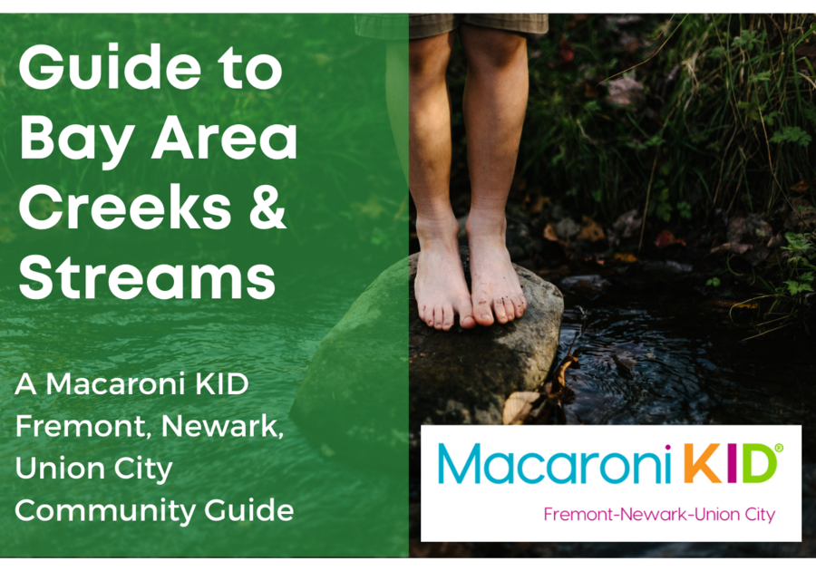 7 Creeks and Streams in the Bay Area for Kids to Splash In!