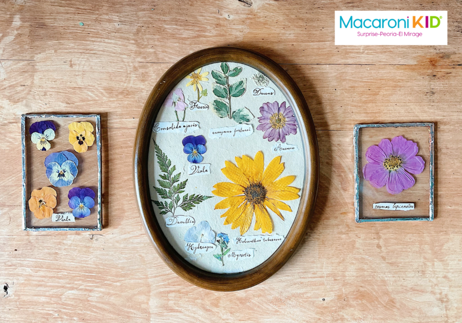 3 frames each holding pressed flowers mounted on a wooden wall