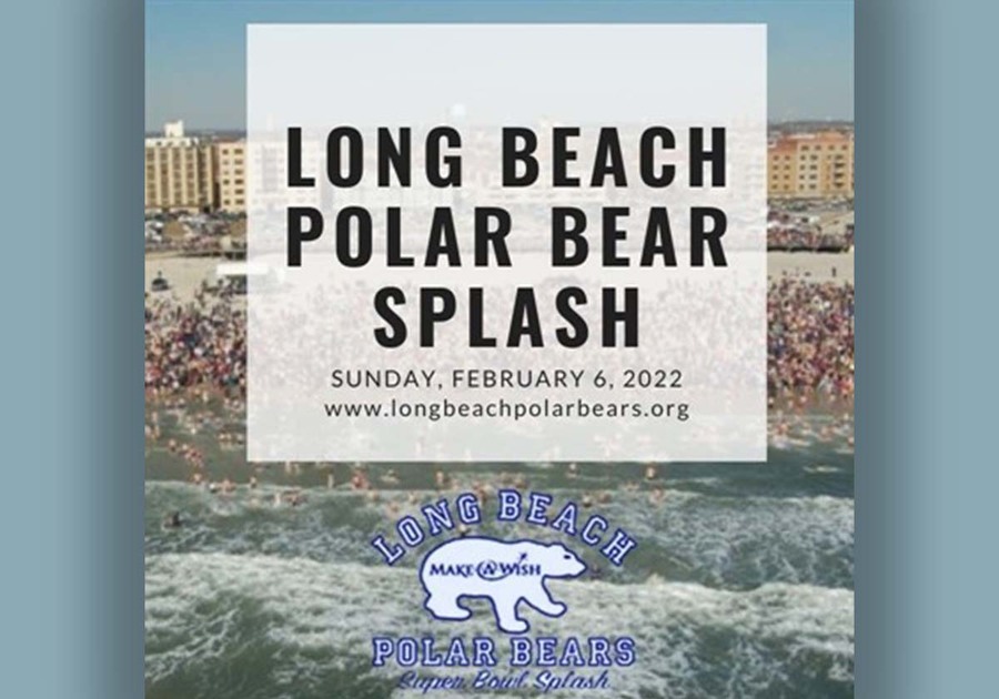 polar bear