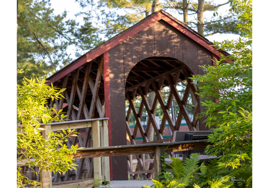 CT Beardsley Zoo