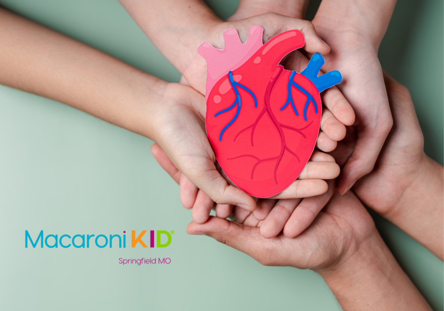 3 people holding a paper anatomical heart with a light green background and the Macaroni KID Springfield MO logo