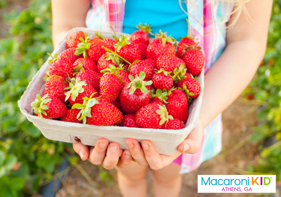 Child holding bucket of strawberries