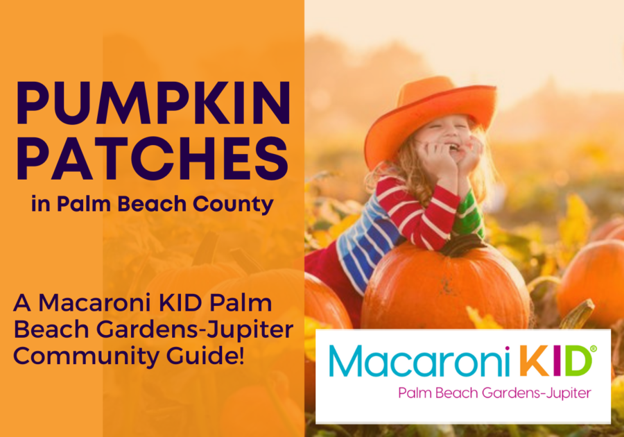 Great Local Pumpkin Patches in the Palm Beach County Area 2021