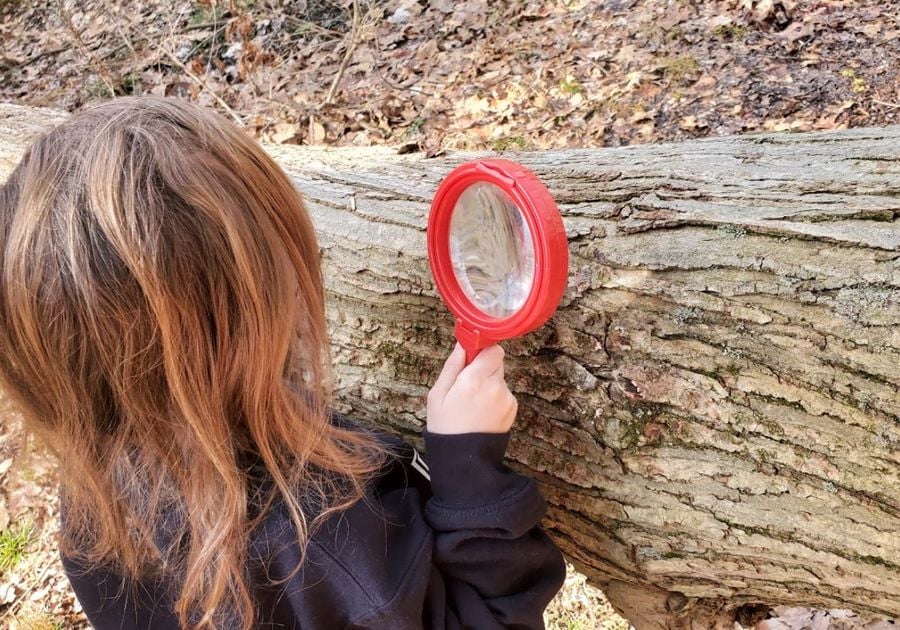 The Moss House Forest School Playfully Wild! Nature Class