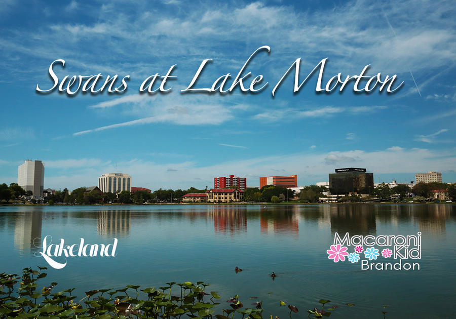 Lake Morton. picture