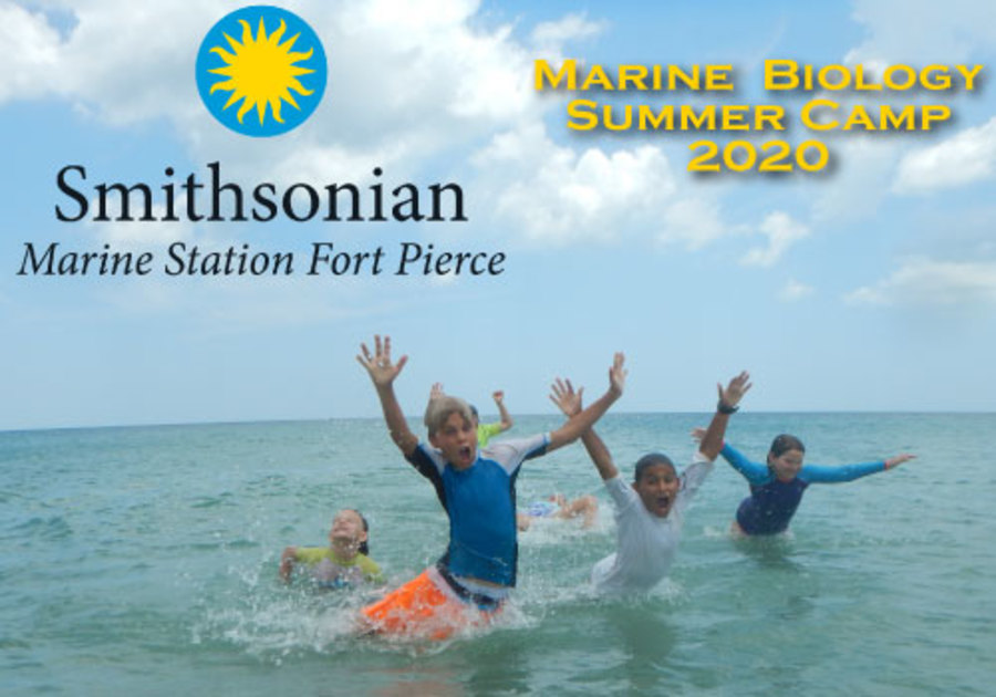 Smithsonian Marine Station 2020 Marine Biology Summer Camp