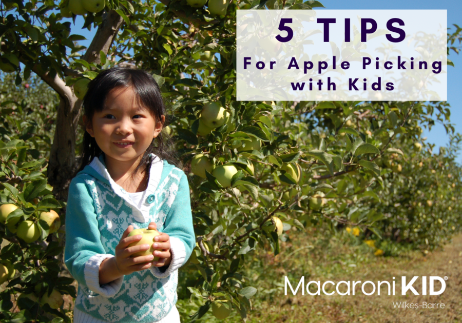5 Tips for Apple Picking