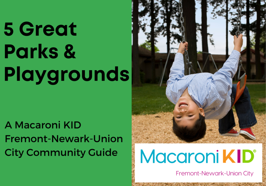 5 Great Parks and Playgrounds in Fremont, Newark, and Union City