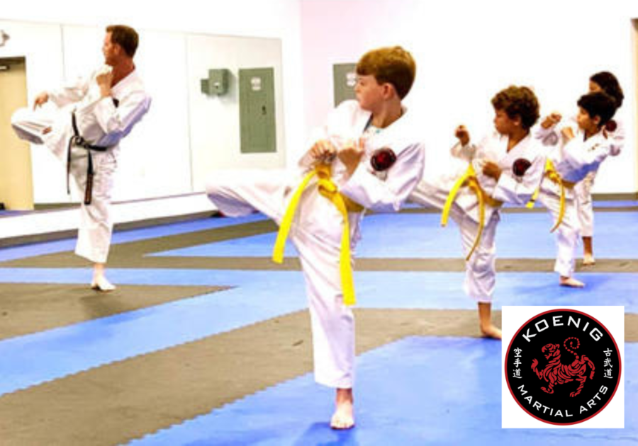 FREE Intro Karate Class at Koenig Martial Arts | Macaroni KID Westchase ...