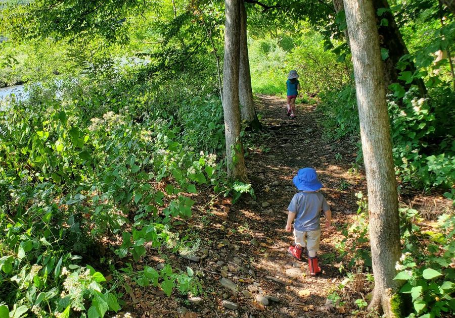 Nature Hike Kids