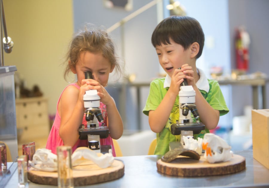 two prek kids looking through microscopes