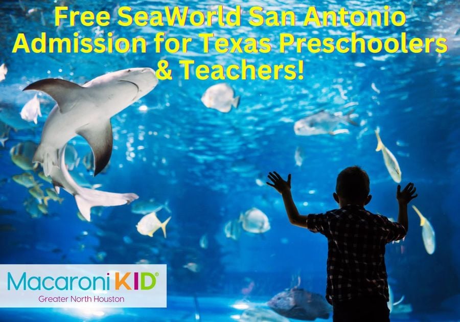 Free SeaWorld San Antonio Admission for Texas Preschoolers & Teachers!