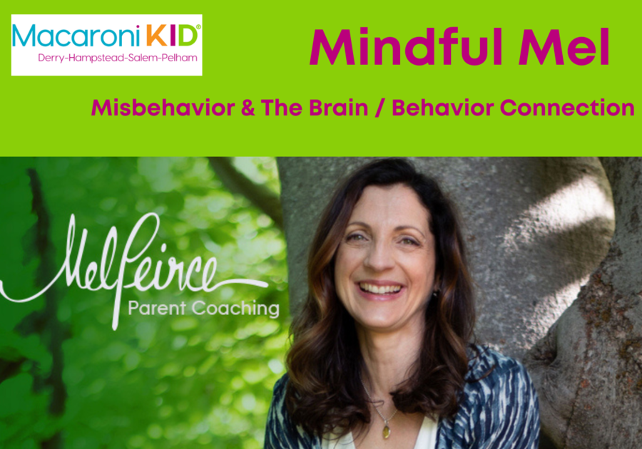 Misbehavior & The Brain / Behavior Connection Mindful Mel