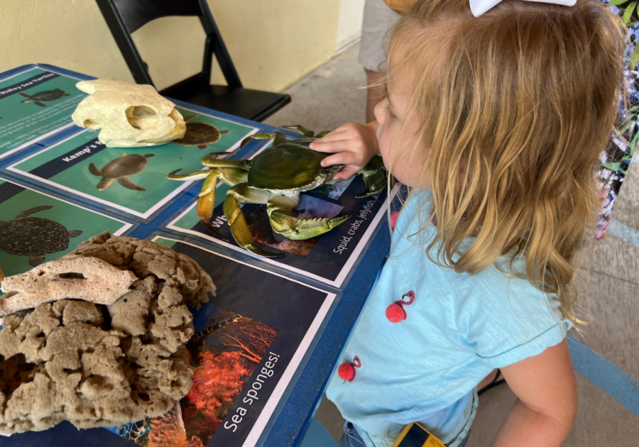 Scarlett enjoy the interactive areas of Loggerhead Marinelife Center