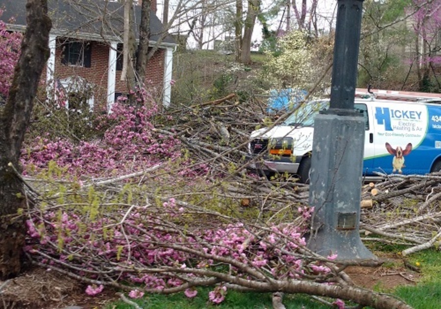 Tornado Aftermath in Lynchburg VA and Surrounding Area | Macaroni KID ...