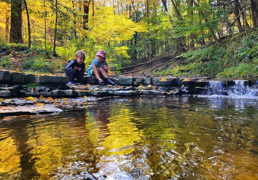 Stair Park Fuller Hollow Creek Vestal NY