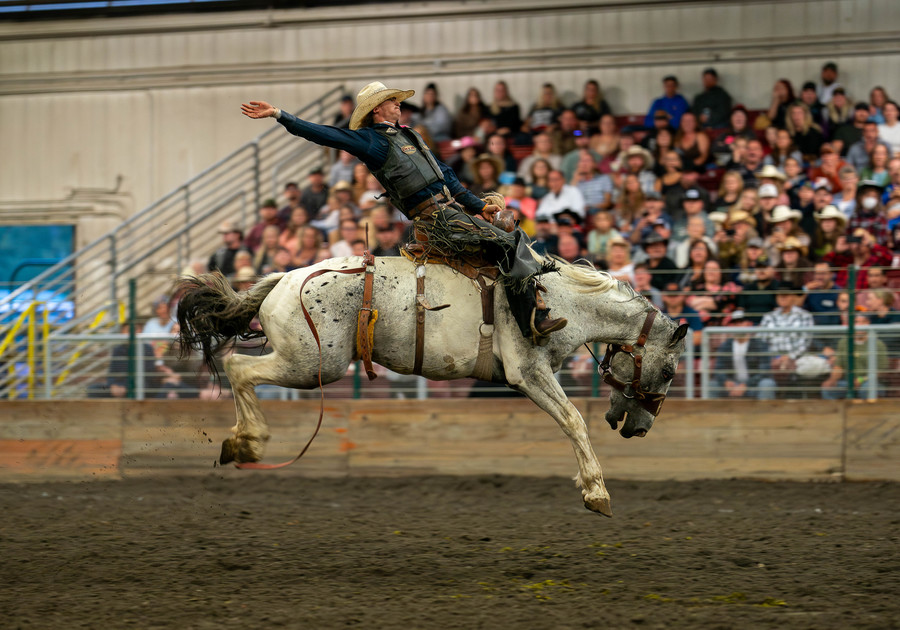 Evergreen state fair rodeo bronco riding