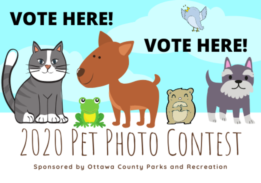 2020 Pet Photo Contest Voting