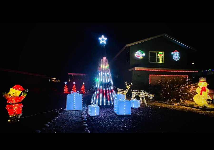 Free Christmas Light Show