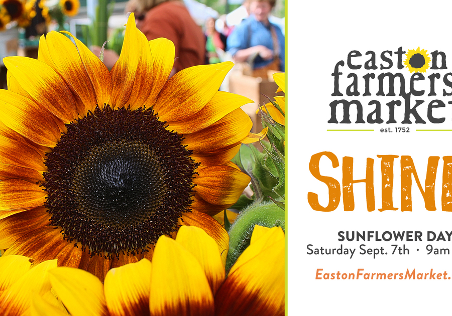 sunflower pooch parade flower sale easton farmer's market September 7, 2019 Lehigh Valley
