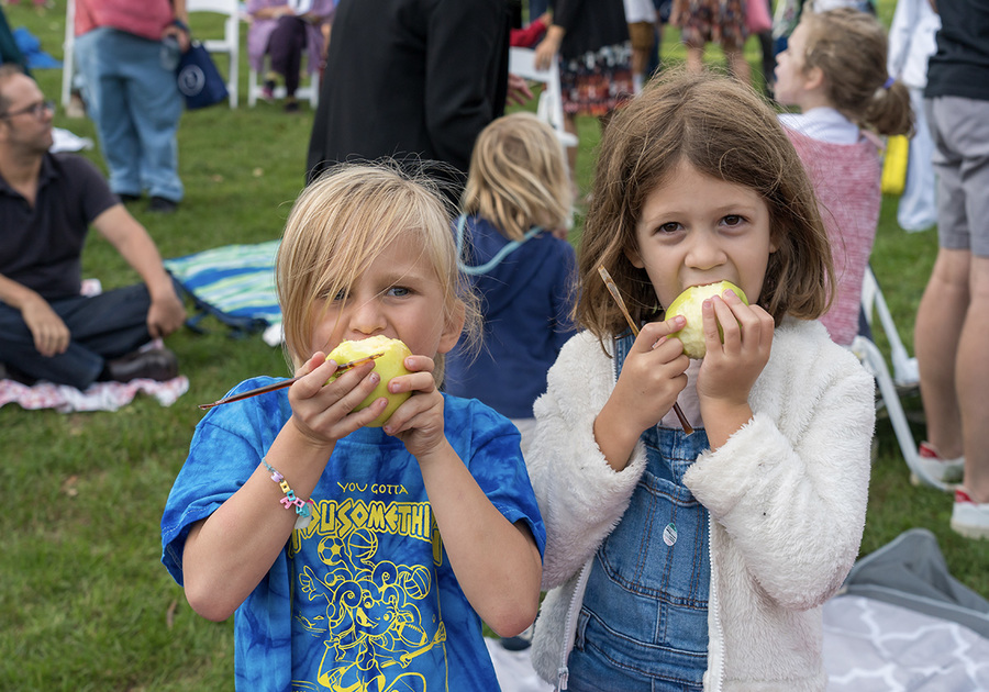 Oheb Shalom Congregation -  Rosh Hashanah in the Park, Maplewood Memorial Park (NJ) - Oct 2 2024; graphic: kids eating outside on grass