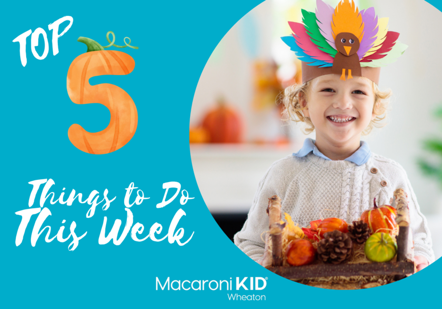 Top 5 Things to do this weekend | Thanksgiving