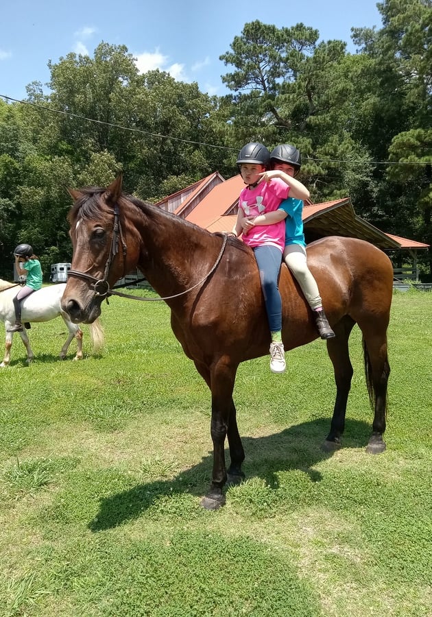 Equestrian WISH summer camp Chesapeake VA horseback riding horsemanship learning to ride horses horse care barn chores