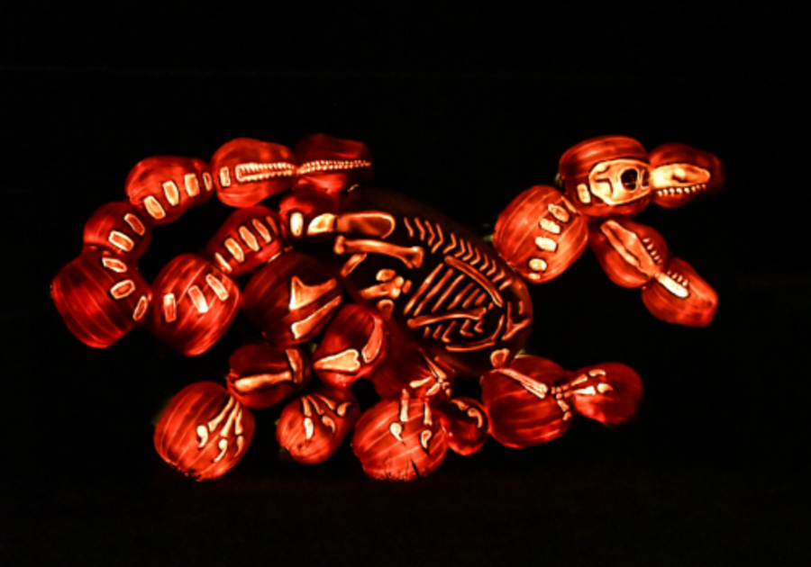 Jack's Pumpkin Glow in Philadelphia includes thousands of jack-o