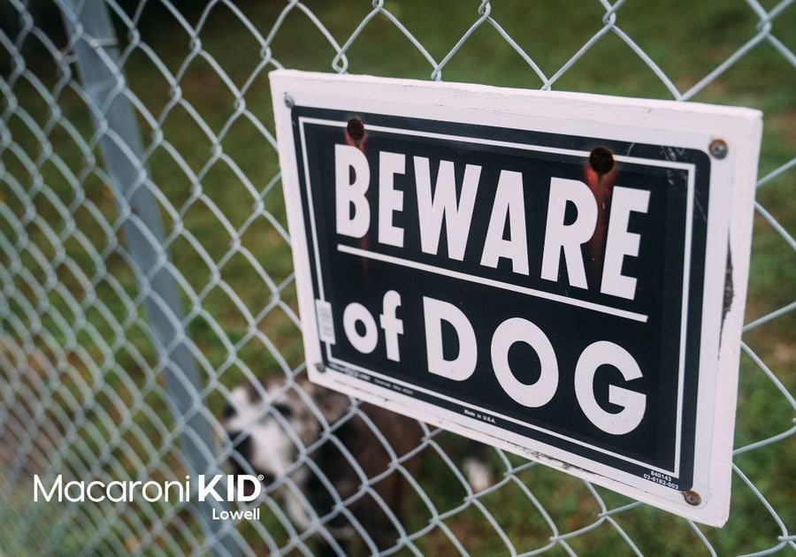 Beware of dog sign on fence